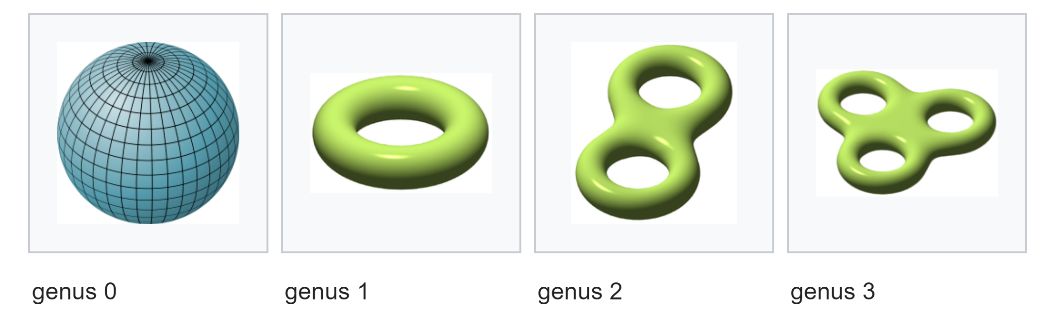 genuses